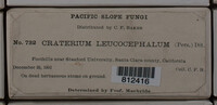 Image Associated With the Occurence